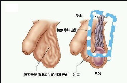 微信截图_20220412095359